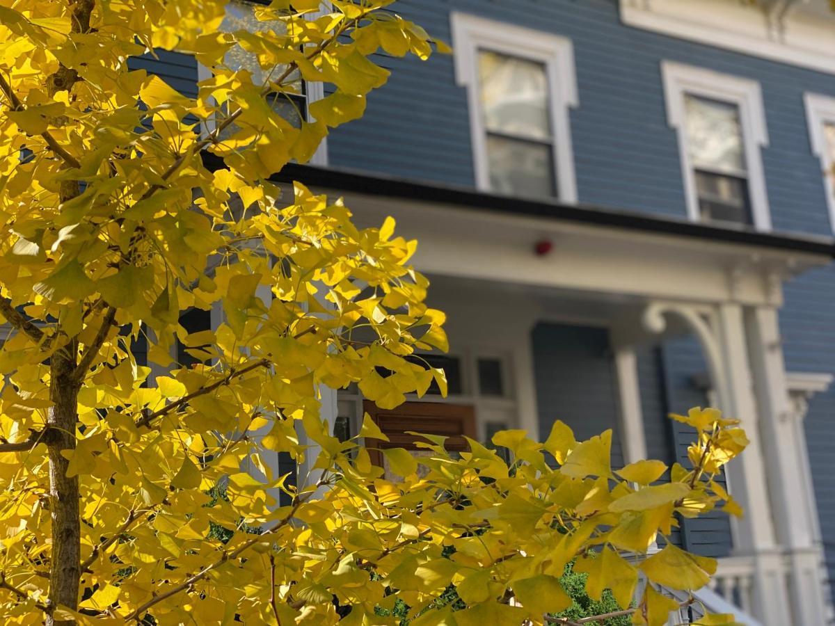Ginkgo House On Harvard Cambridge Kültér fotó