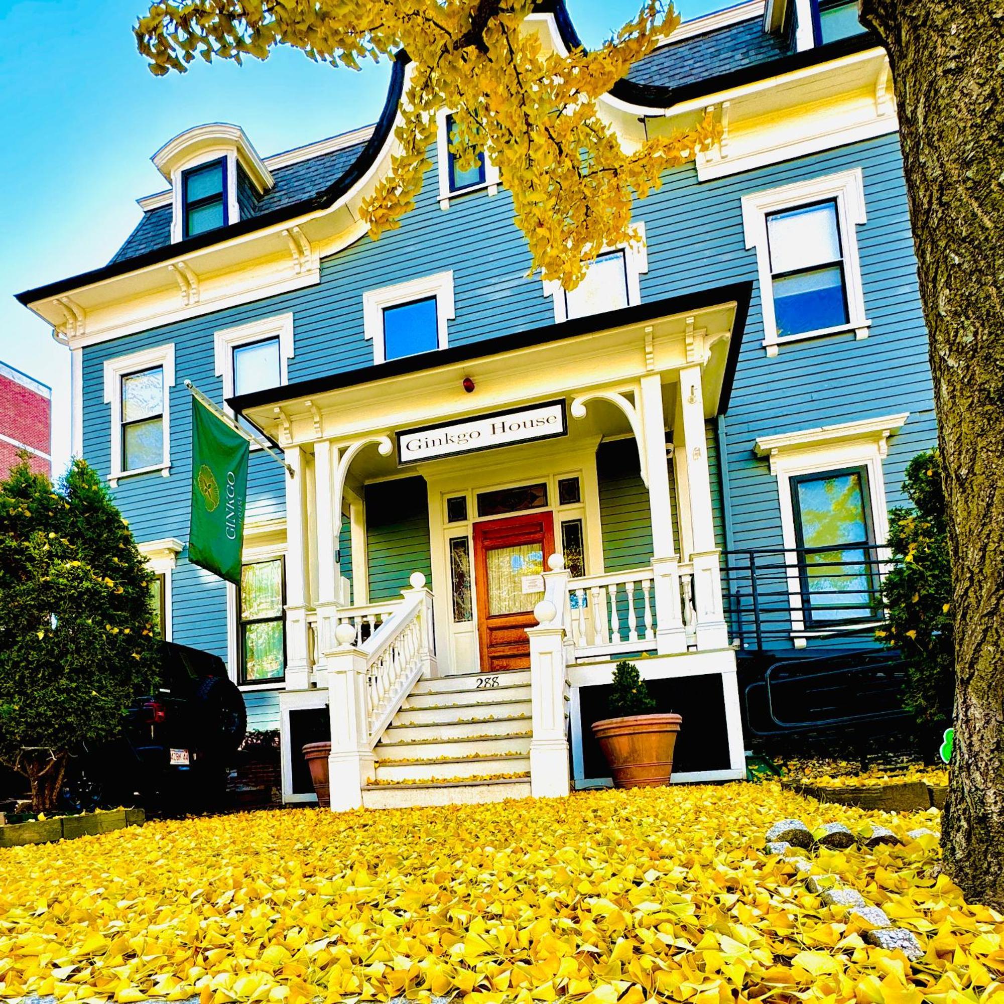 Ginkgo House On Harvard Cambridge Kültér fotó